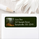 Search for birch tree return address labels Fall