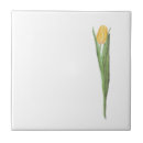 Search for tulip tiles Summer