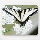 Search for white graduation electronics Birthday