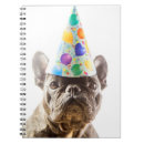 Search for purebred Domestic animals