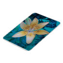 Search for tiger lily magnets Nature