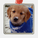 Search for golden retriever christmas tree decorations Dog