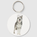 Search for alaskan malamute key rings Puppy