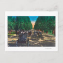 Search for fords postcards California