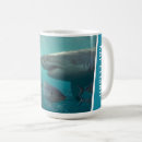 Search for ocean fish mugs Underwater