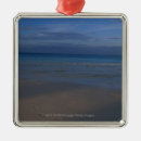 Search for tranquil christmas tree decorations Vacations