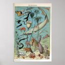 Search for small creature posters Ocean