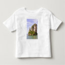 Search for andaman islands tshirts Limestone