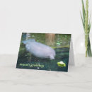 Search for marine christmas cards Animals
