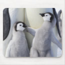 Search for emperor mousepads Penguin