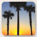 Search for pretty sky coasters Beach