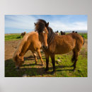 Search for ralph posters Horse