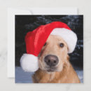 Search for puppy christmas cards Winter
