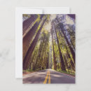 Search for redwood postcards Road