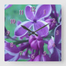 Search for lilac clocks Violet