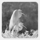 Search for infrared stickers White