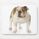 Search for bulldog mousepads Puppy