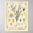 Search for download posters Illustration