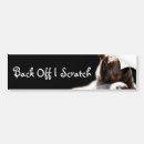 Search for white tigers bumper stickers Cat