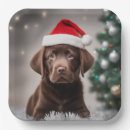 Search for labrador christmas decor Funny