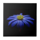 Search for daisy tiles Floral