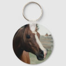 Search for arabian horse accessories Pony
