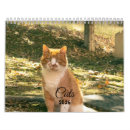 Search for cute kitten calendars 2026