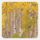 Search for gunnison stickers North america