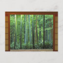 Search for rob postcards Arashiyama