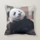 Search for giant panda cushions Cute