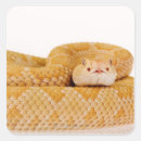 Search for diamondbacks stickers Reptile