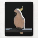 Search for cockatoo mousepads Bird