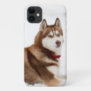 Search for alaskan malamute dog iphone cases Husky