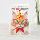 Search for orange cat birthday cards Cats