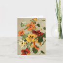 Search for nasturtium Botanical