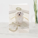 Search for maltese christmas cards White