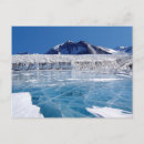 Search for south pole Antartica