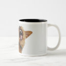 Search for snarling mugs Animal body part
