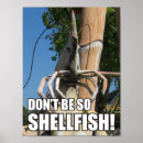 Search for shellfish posters Shrimp