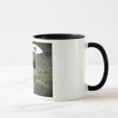 Search for balck mugs Cat