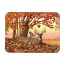 Search for fall colours magnets Wildlife