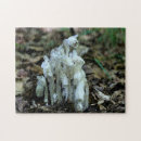 Search for pipe puzzles Nature