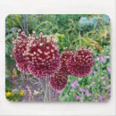 Search for onion electronics Garden