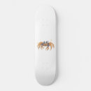 Search for cute drawings skateboards Animal