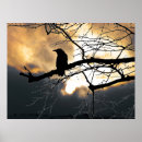 Search for bare trees posters Sky