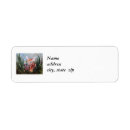 Search for fawns return address labels Wildlife