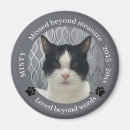 Search for beyond magnets Quote