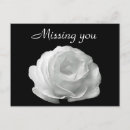 Search for single flower postcards Rose