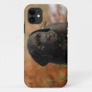 Search for black labrador retriever iphone cases Funny