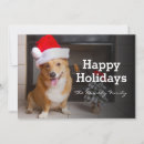 Search for pembroke corgi christmas cards Ohio